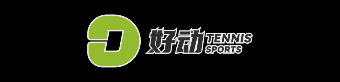 2026世界杯瑞士点球判罚引争议